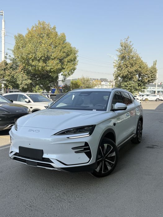 BYD champion smart
