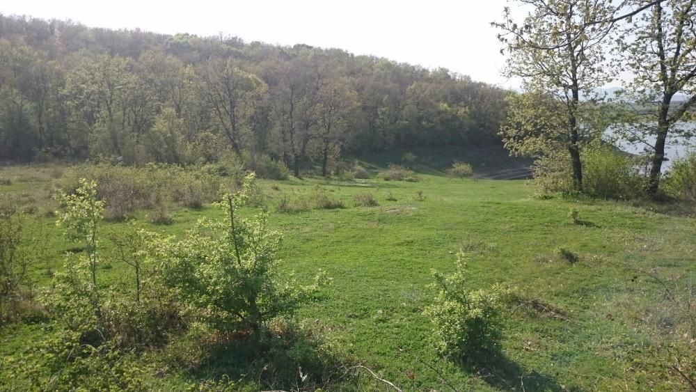Продава се Парцел в Хасково, Овчарски - 3700 кв.м за 9 €/кв.м - Снимка #5