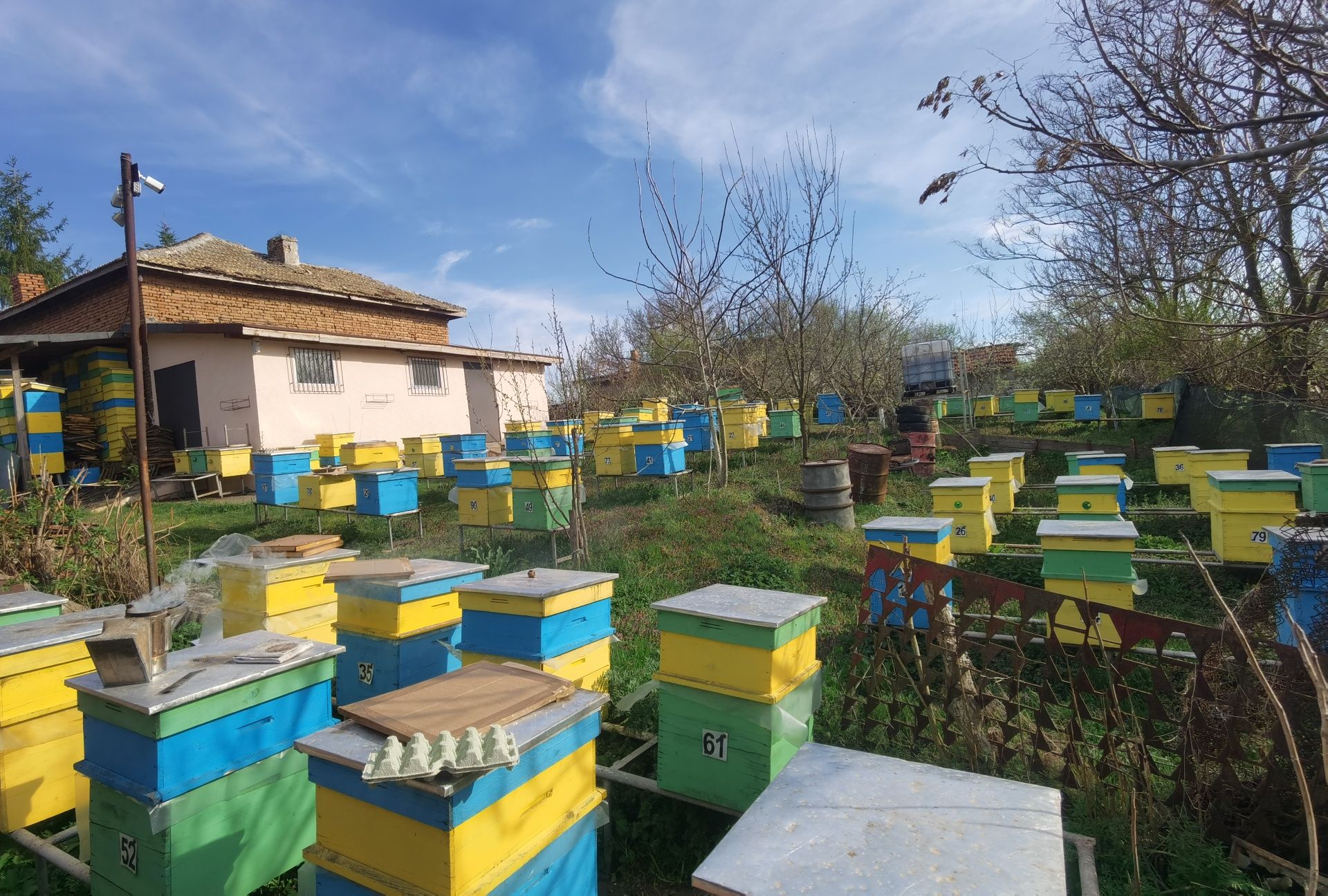 Продавам кошери даданблат 10 рамкови + магазини!