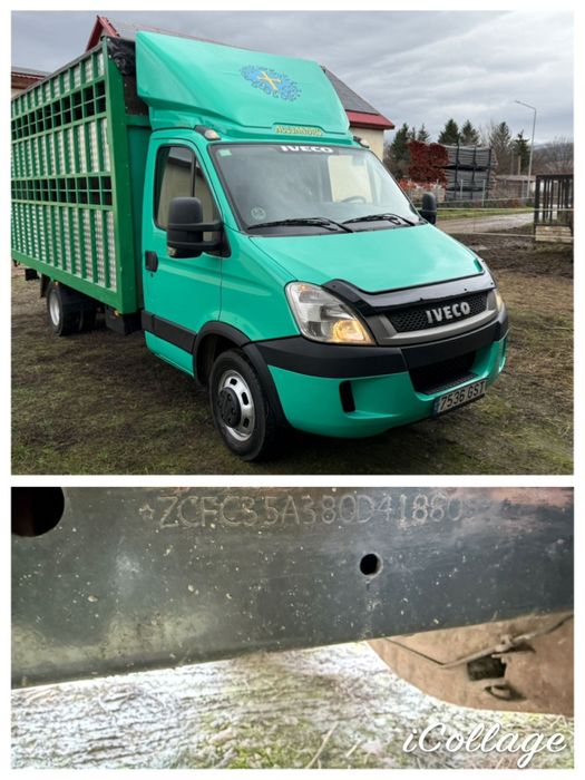 Iveco Daily Transport animale vii