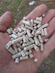 peleti din pin Rasinoase