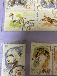 Редкие марки и серии Собаки 1965ш