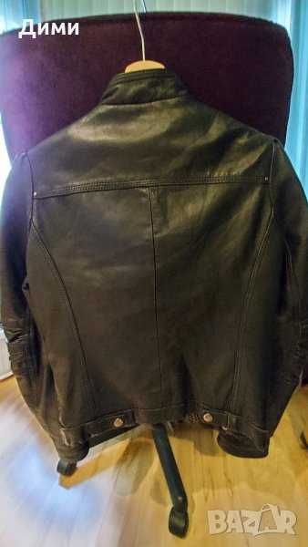 Маркови кожени якета Rockandblue Gipsy Zara