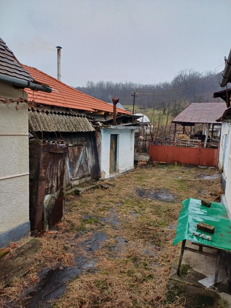 Vând casă în Derna