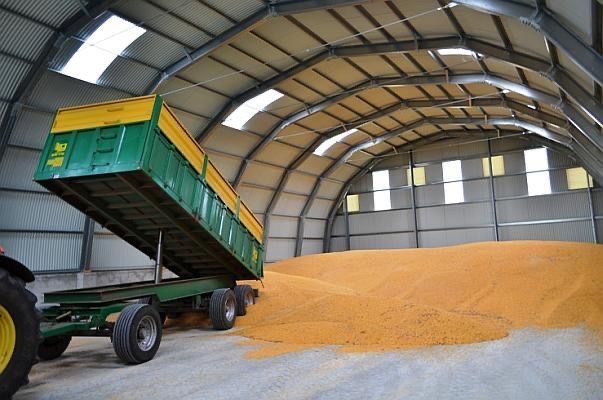 De vanzare porumb 800 to 1,2 kg