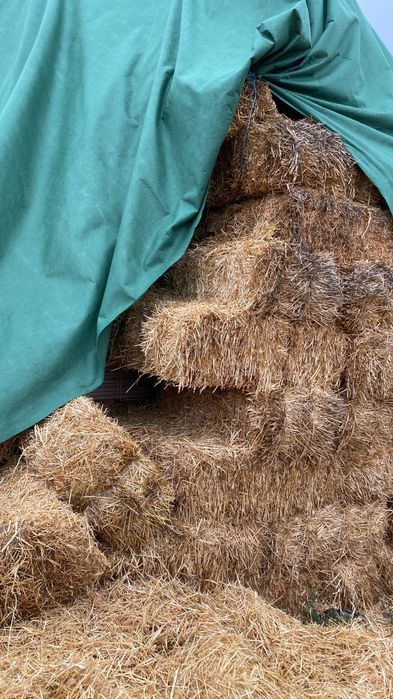 Vând balotii cocenii și paie