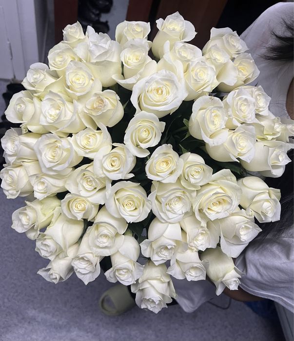 свежие цветы 51 белая роза