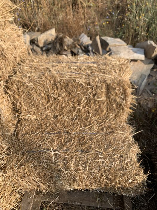 Бали слама + ечемик/малки/