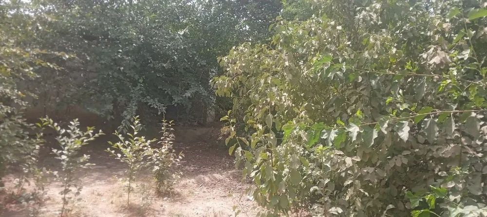 Ррррррррррррррррррр