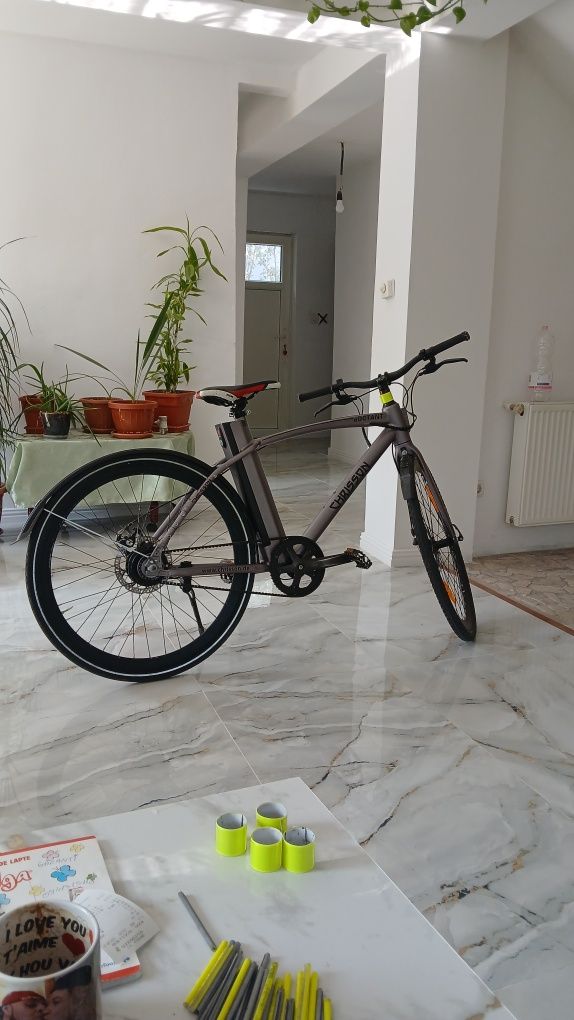Bicicleta electrica Chrisson