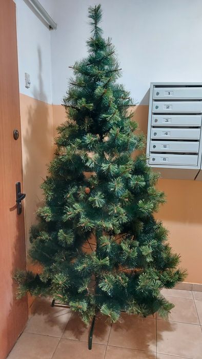 Елка пушистая красивая высота 210 см