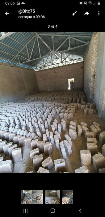 Хом гишт (дипломат )