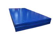 Saltele Judo Profesional 2M X 1M X 4CM