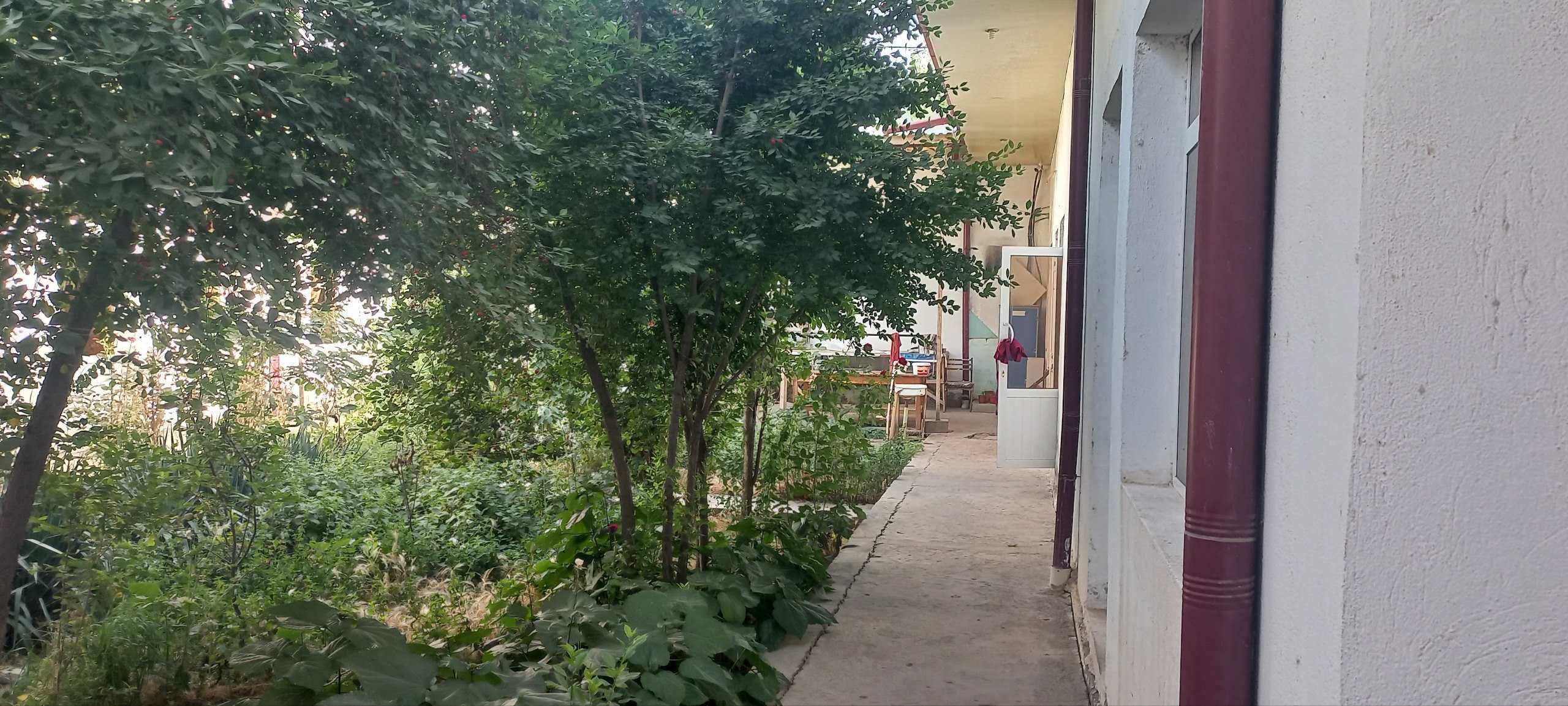 Дукон сотилади  Нотурар  жой