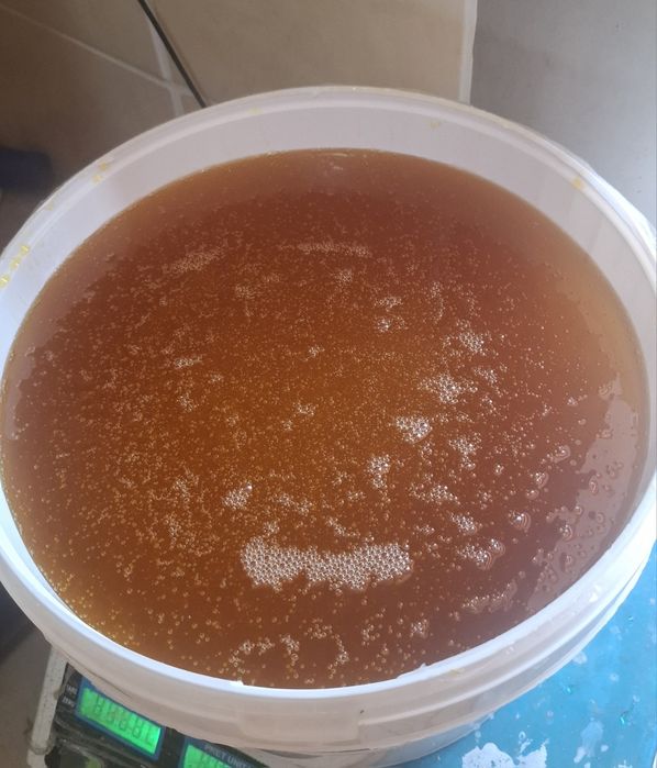 Miere de albine 100% Naturala -25 Ron