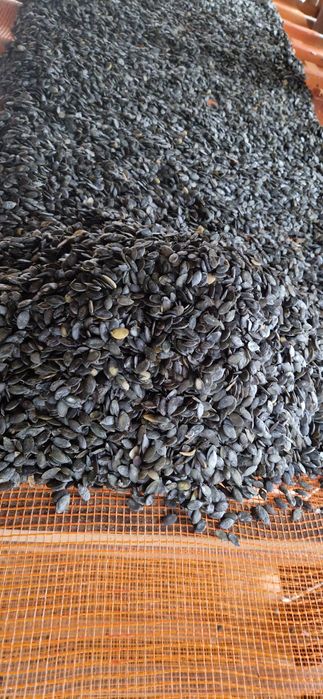 Ulei de dovleac styria