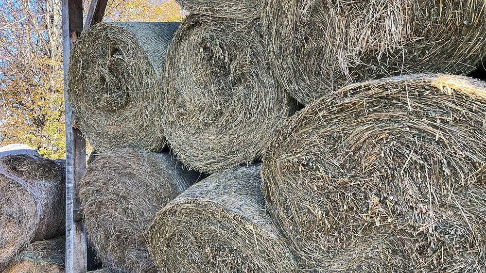 Baloți rotunzi de fân