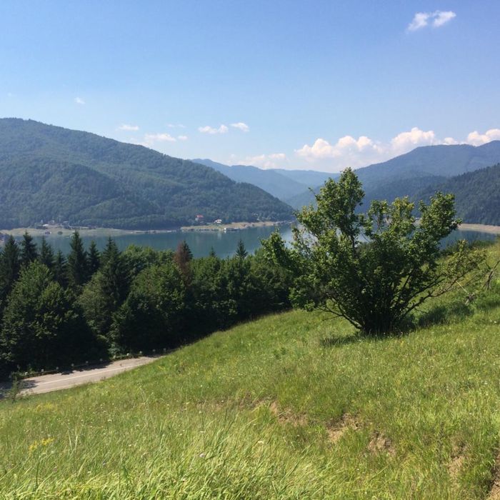 Vand teren, zona baraj Bicaz, Potoci
