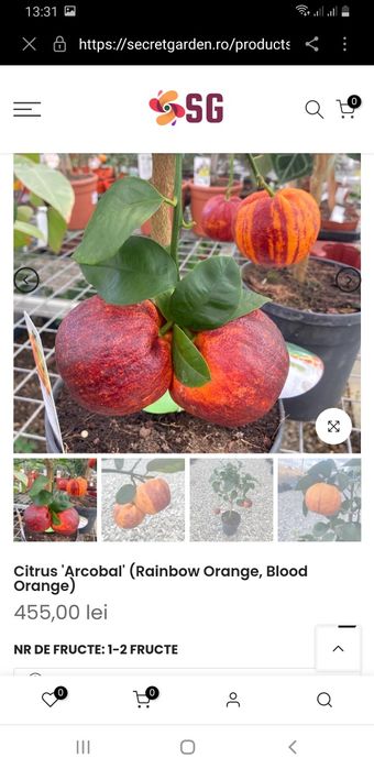 Portocal rosu de Sicilia