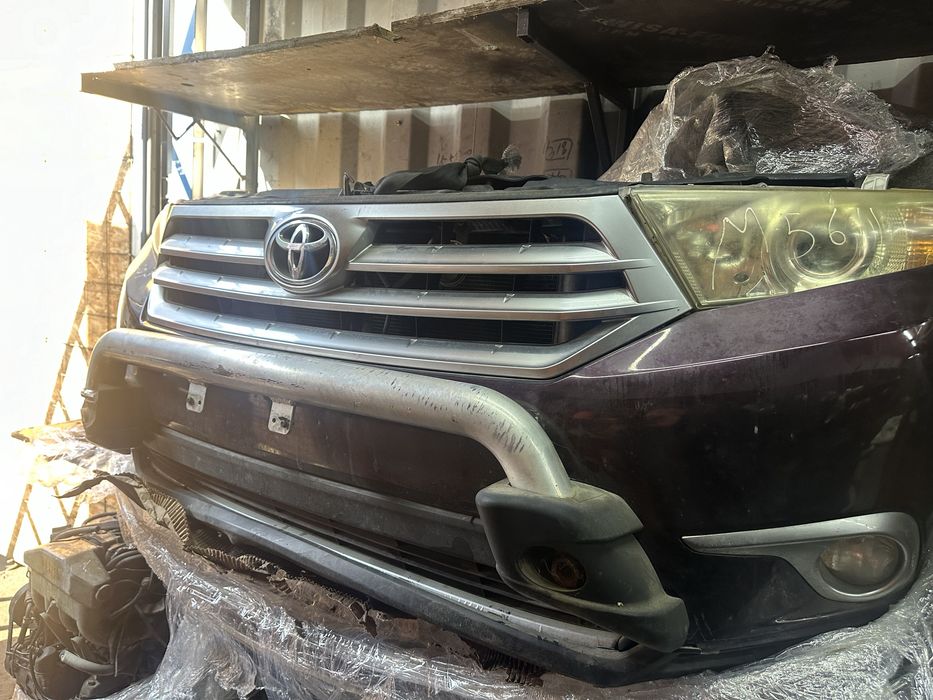 Ноускат Хайландер рейсталинг