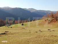 Teren de vanzare, Scarisoara,  ideal pentru cabana