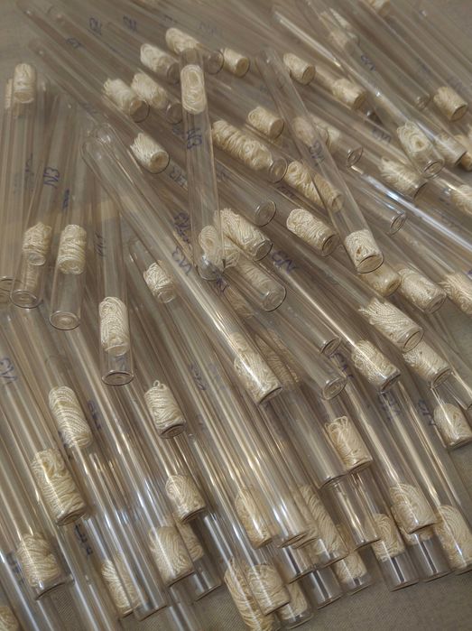 Щелк в ампуле, стерильный. Хирургическая шовная нить.