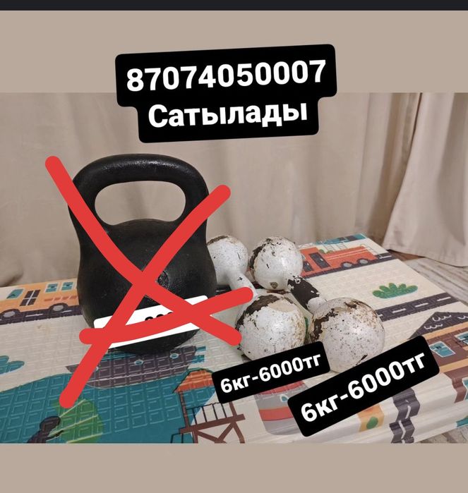 2 Гантель по 6 килограмм.