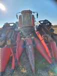 Combina CASE CF80 + Geringhoff / 300cp / ore 2900