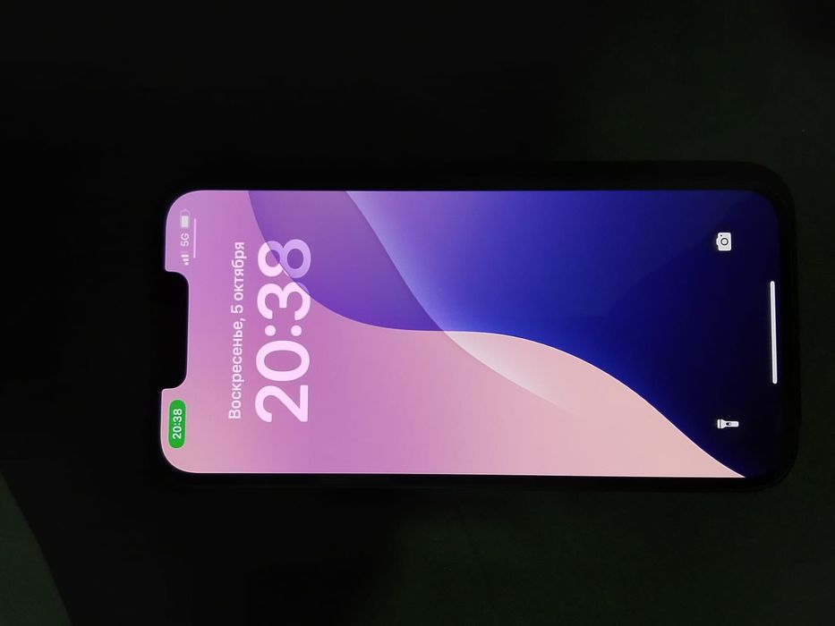 iPhone 13 pro max