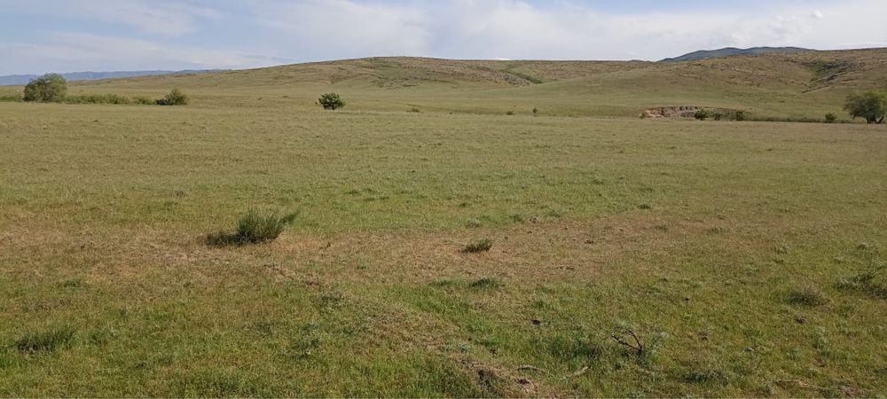 Продается фазенда