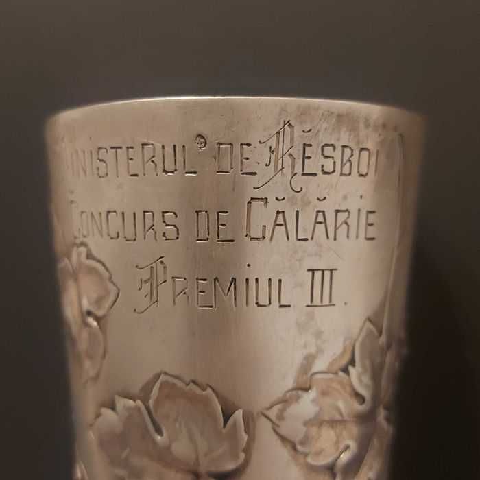 trofeu argint premiu concurs