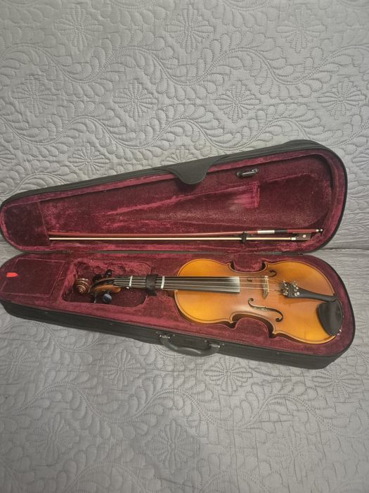 Vioara 3/4 Hora Reghin pentru incepatori