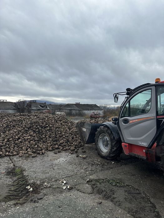 Sfecla la orice cantitate