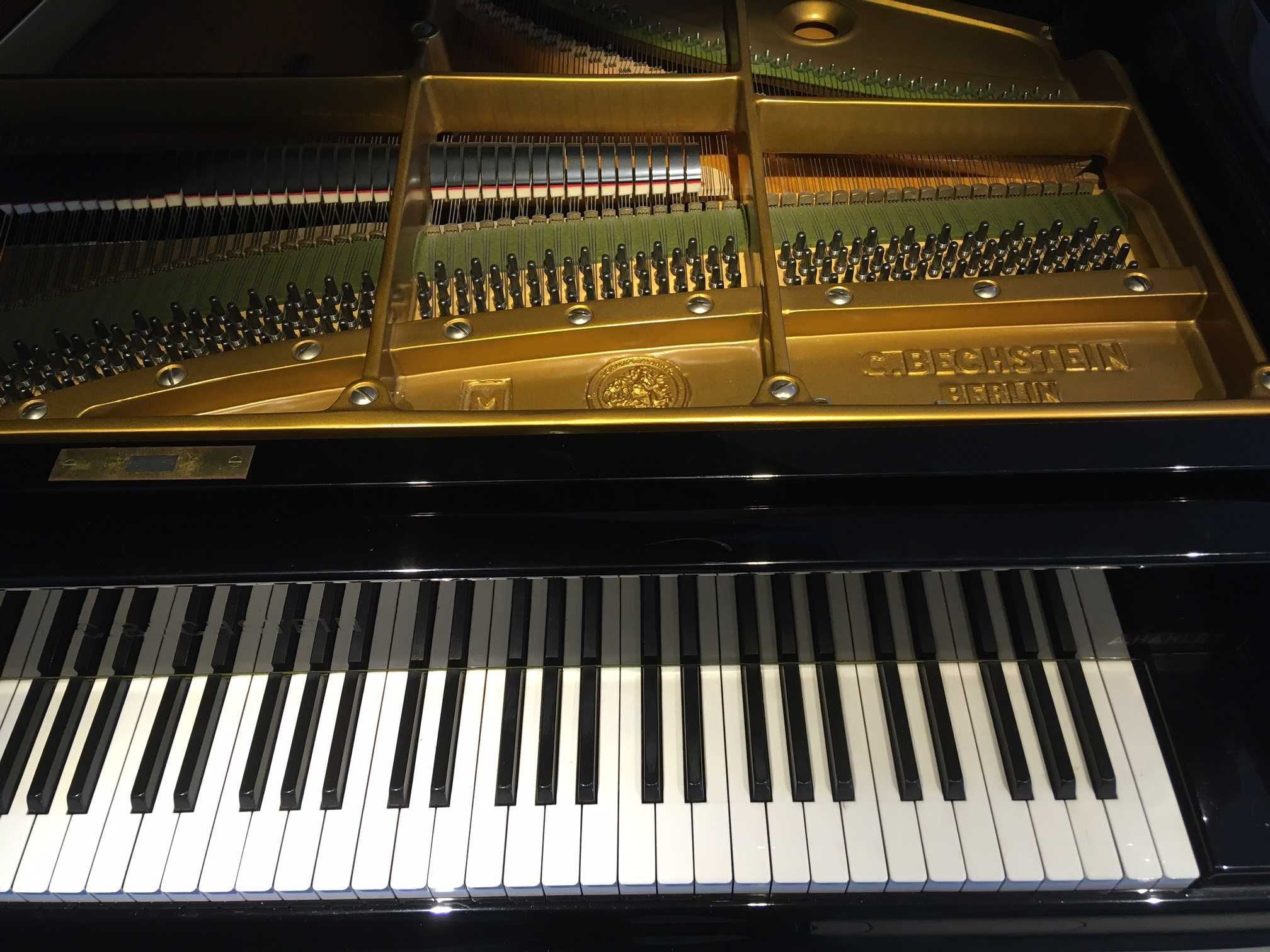 Pian de Concert - C. Bechstein B 203