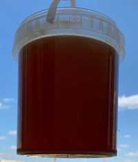 Предлагаем Вашему вниманию Натуральный Мёд из Восточного Казахстана.