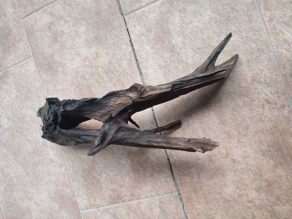 Vand radacini si pietre pentru acvariu - calitatea I. gata fierte