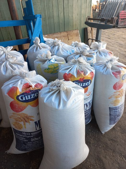 Продам ячмень со свежего урожая.