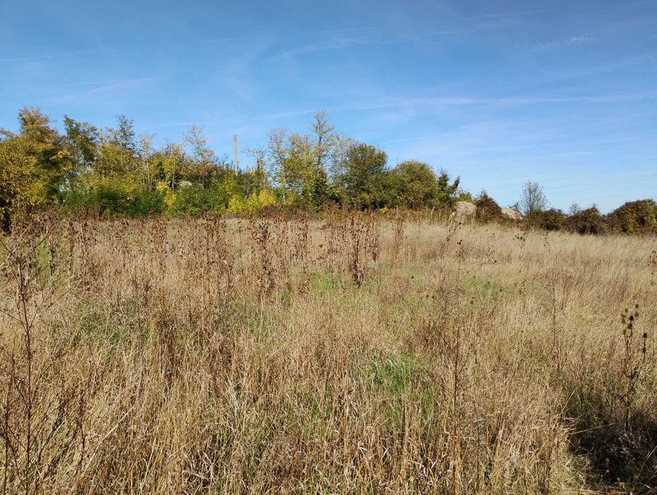 Продава се Парцел в Търговище, Център - 1600 кв.м за 4 €/кв.м - Снимка #5