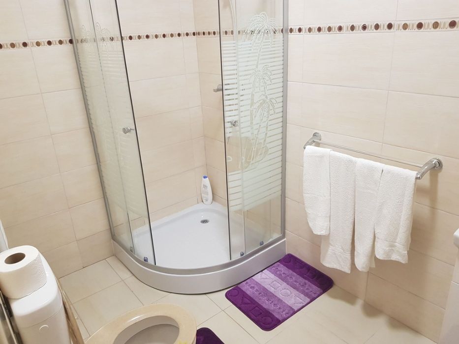 Georgiana Apartments- apartmante in regim hotelier Iulius Town