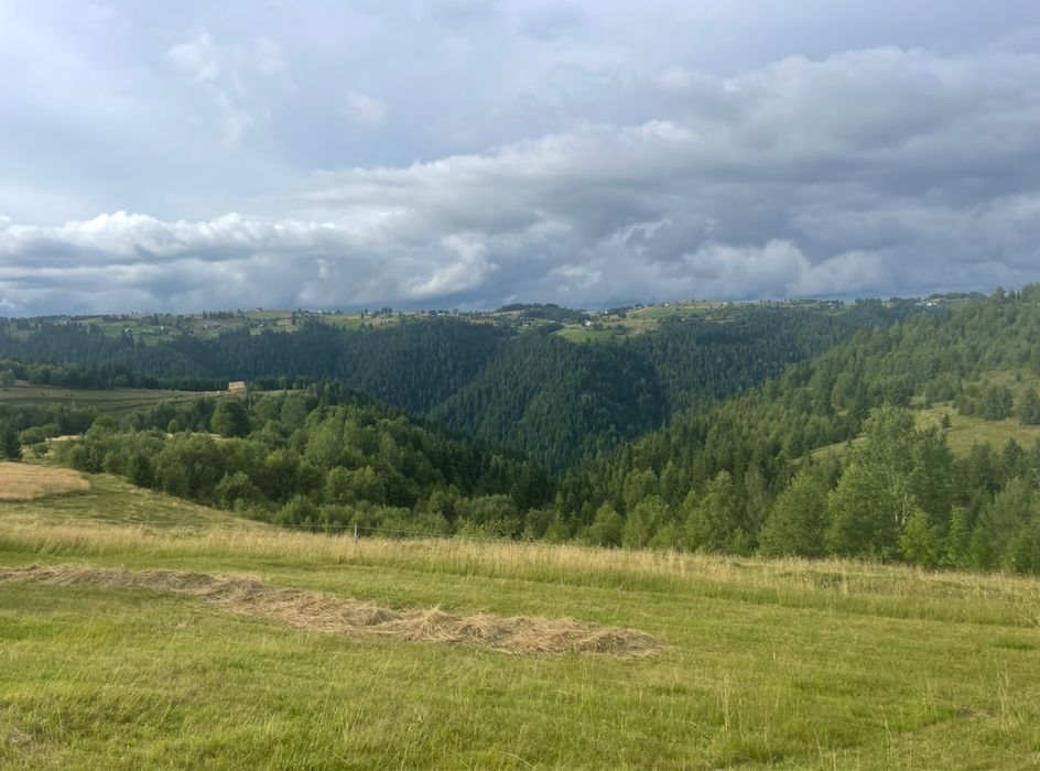 Teren de vânzare la munte în Măguri, Măguri-Răcătău,9185 mp, pt Cabana