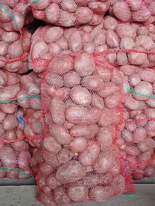 Vand cartof consum rosu si alb