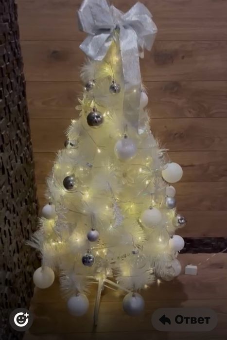 Елка ,сосна белая