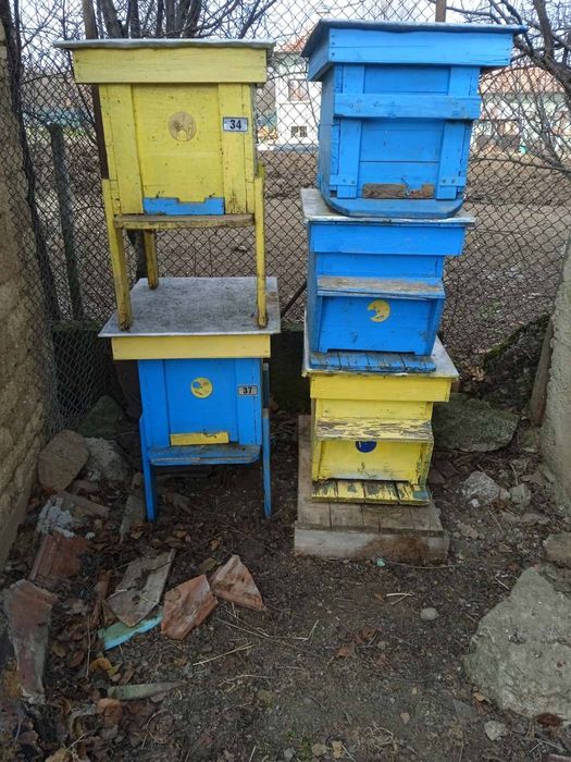 Кошери Дадан Блат