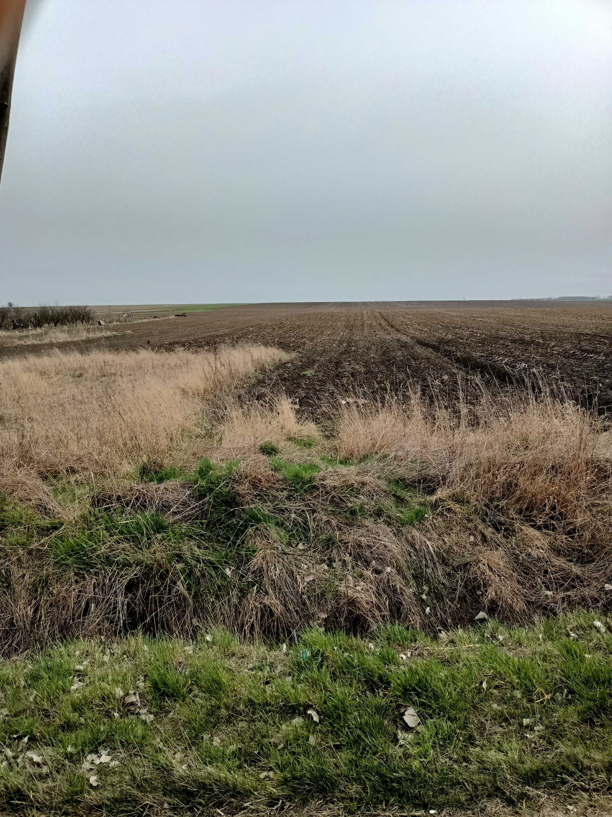 Vând tern intravilan