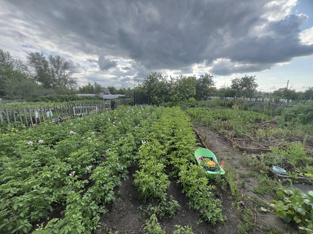 Продам дачу сады 2, 6кв 4 дом