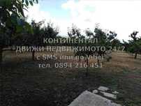 КОДг 17155. Прасковена градина 1800м2 до регулация с ток вода фургон