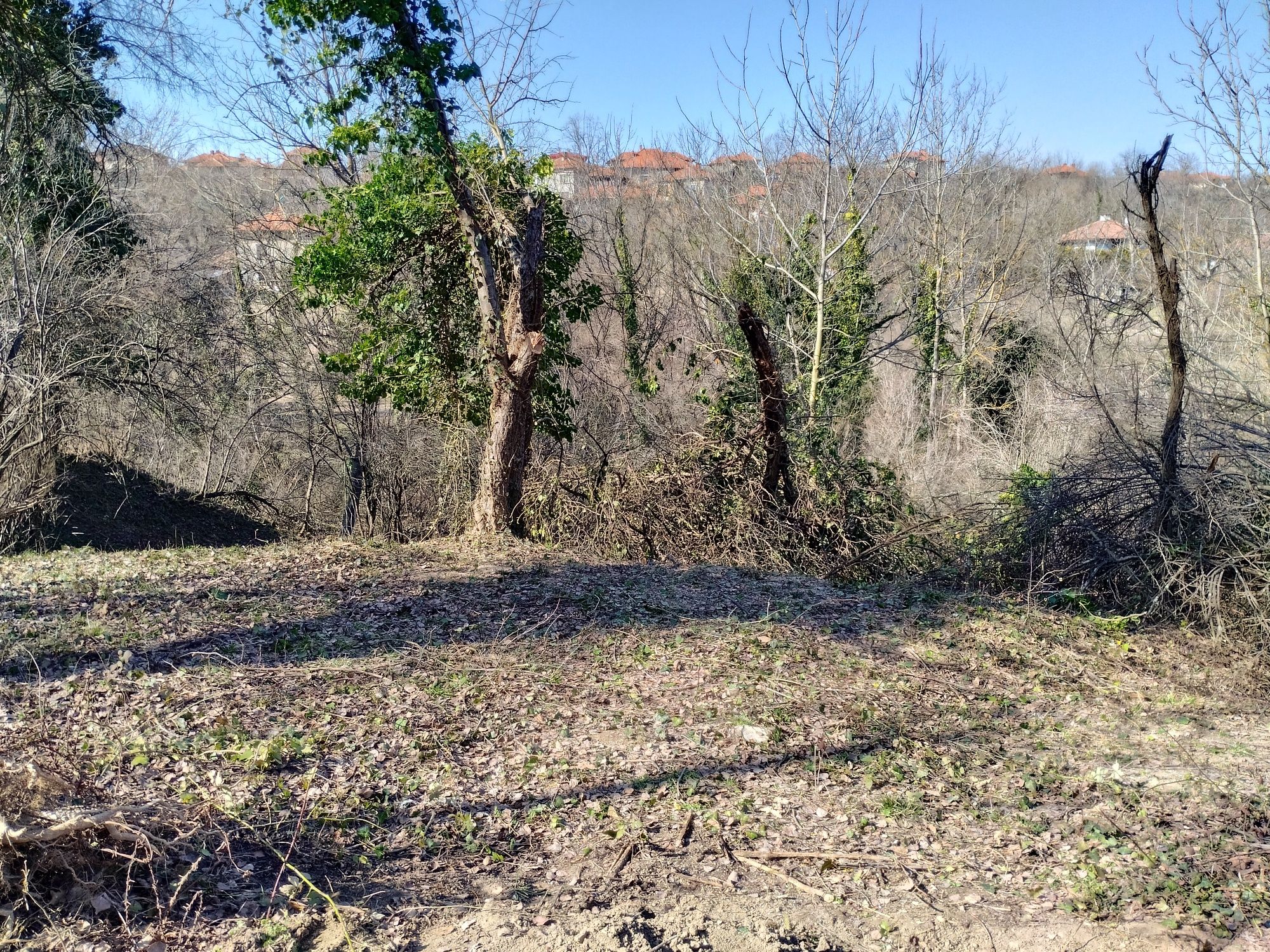 Имот в в село Голяма Желязна, област Ловеч