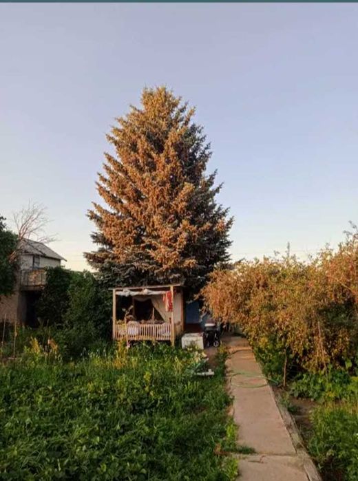 Продам дачу в районе Акжар 2 и земельный участок (ж. м.  "Шыгыс")