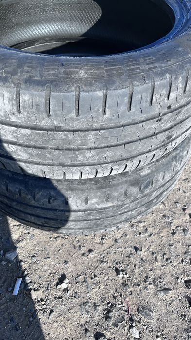 Покрышки  continental