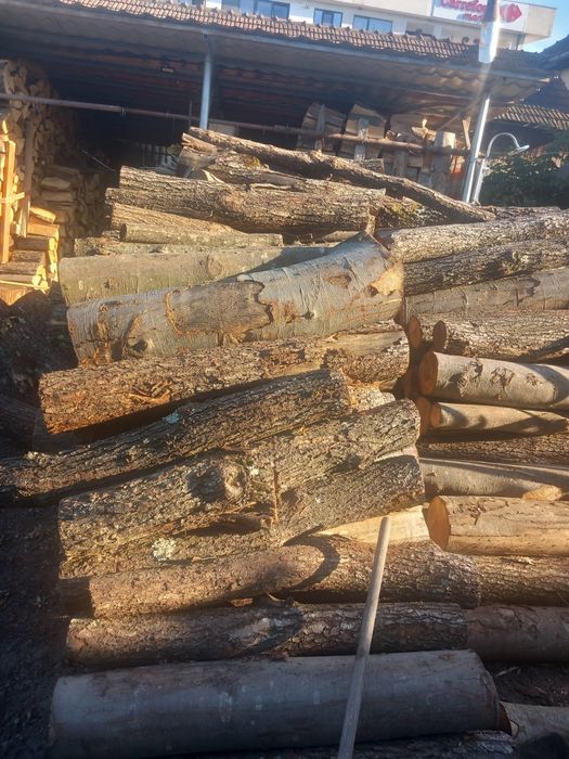 Lemne esență  tare